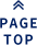 pagetop